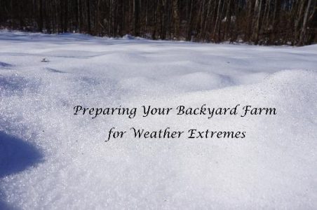 Preparing for Weather Extremes on Your Backyard Farm Image